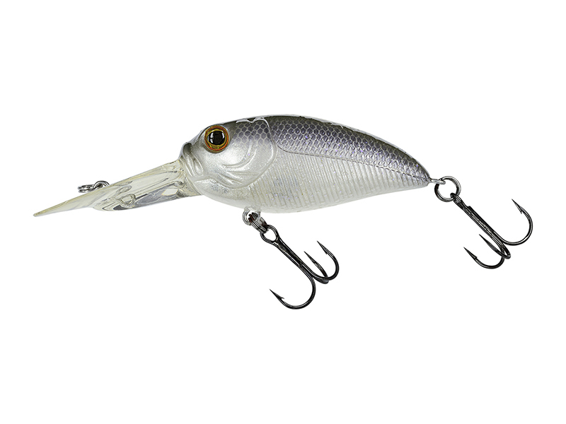 Molix Sculpo DR Silent