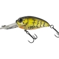 Alqueva Craw