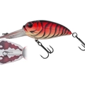 Spring Craw