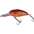 Mud Craw Orange