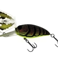 Ozark Craw