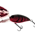 Rusty Craw