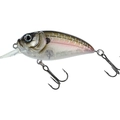 MX Ghost Minnow