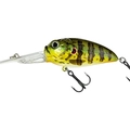 Sunfish