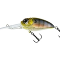 Natural Blue Gill