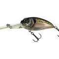 MX Ghost Minnow