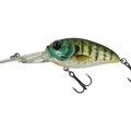 Blue Gill