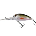 Tennessee Shad