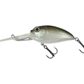 Pearlescent Shad