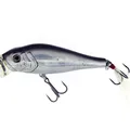 Silver Bait