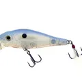 Shiner Shad