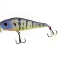 Blue Gill