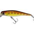 MX Brown Trout