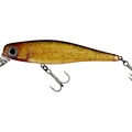 Honey Shad