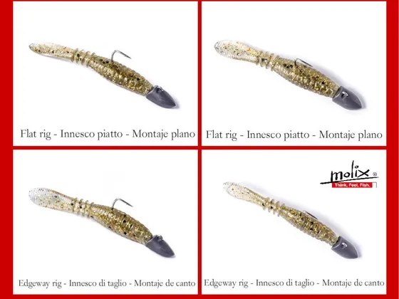 Molix Sligozzo 2″