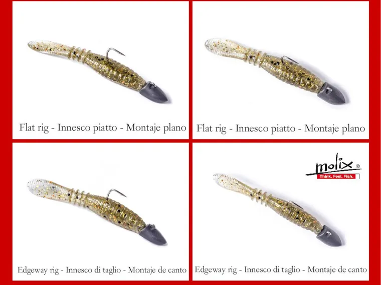 Molix Sligozzo 2″
