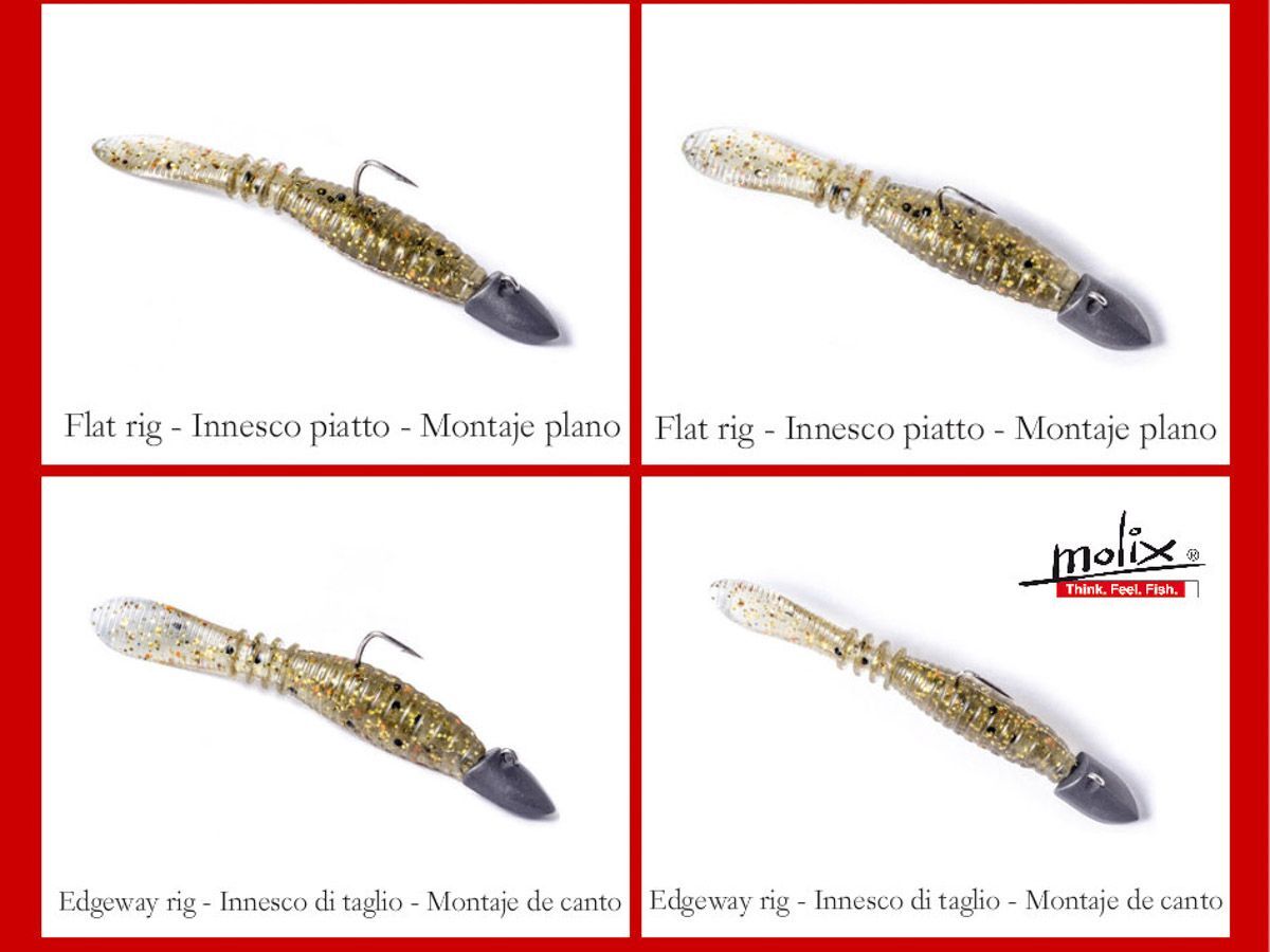 Molix Sligozzo 2″