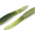 Alburno Shad