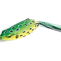 Leopard Frog