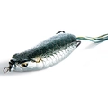 Tarpon