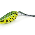 Leopard Frog