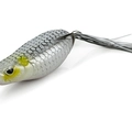 Silver Albino