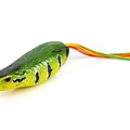 Peacock Bass