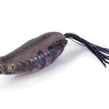 Wicked Gill