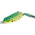 Leopard Frog