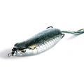 Tarpon