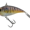 Brown Cream Purple Tiger