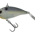 Blueback Herring