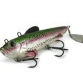 Live Rainbow Trout