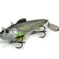 Silver Minnow