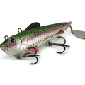 Live Rainbow Trout