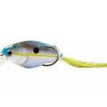 Charming Shad