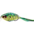 Leopard Frog