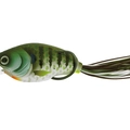 Blue Gill