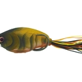 Moss Brown Craw