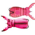 Pink Beetle