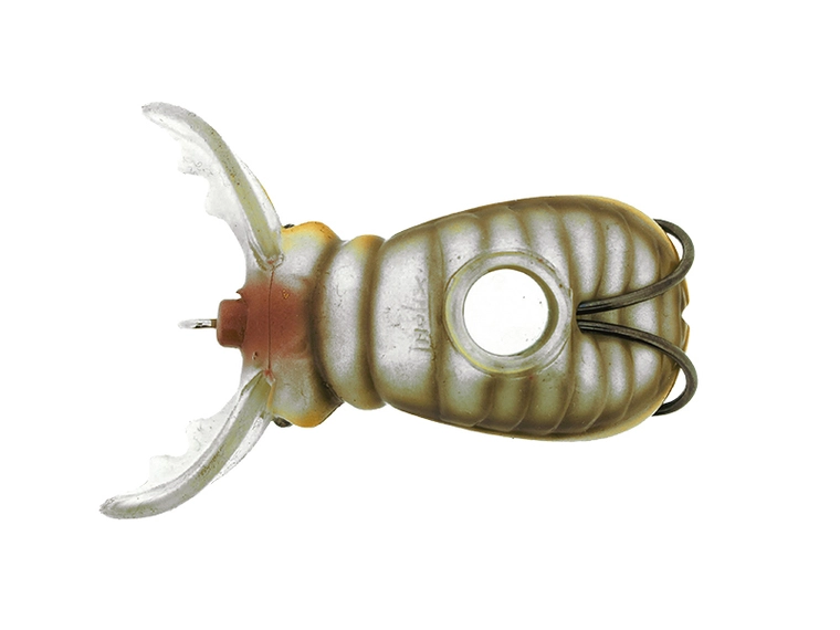 Molix Supernato Beetle