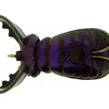Black Scrabble Belly