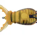 Metallic Orange Belly
