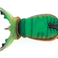 Metallic Green Belly