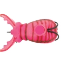 Pink Beetle Belly