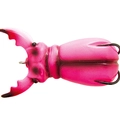 Pink Beetle Top