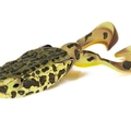 Northern Snakehead