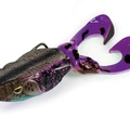 Wicked Gill