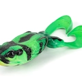 Poison Dart Frog