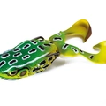 Leopard Frog